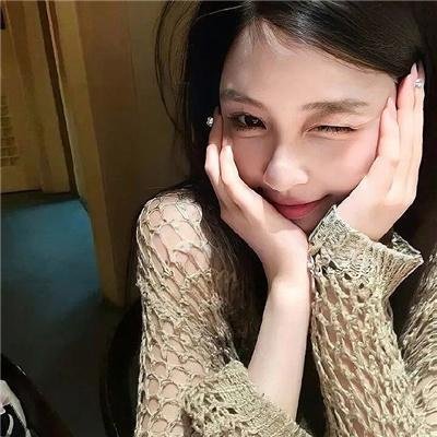 科搜研之女第23季